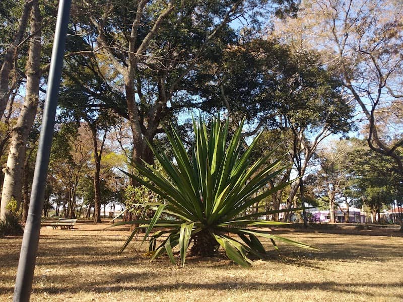 Praça do Cecap - Image 2