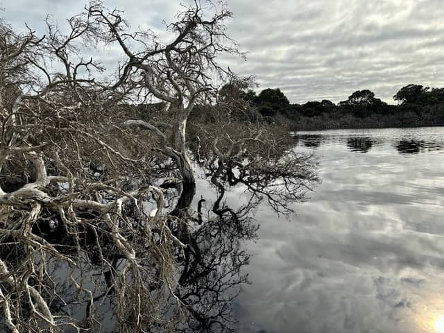 Boodjar Mooliny Reserve - Image 3