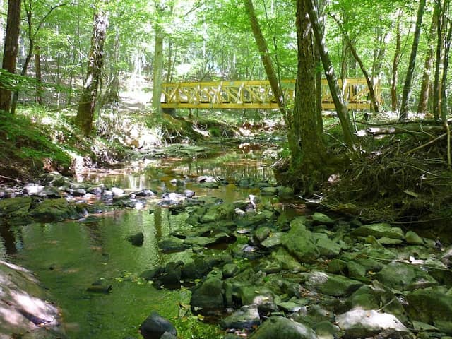 Shallow Ford Natural Area - Image 1
