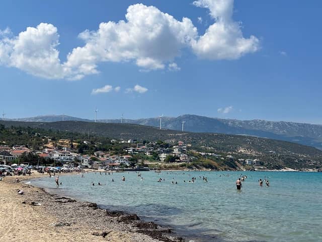 Ardıç - Image 1