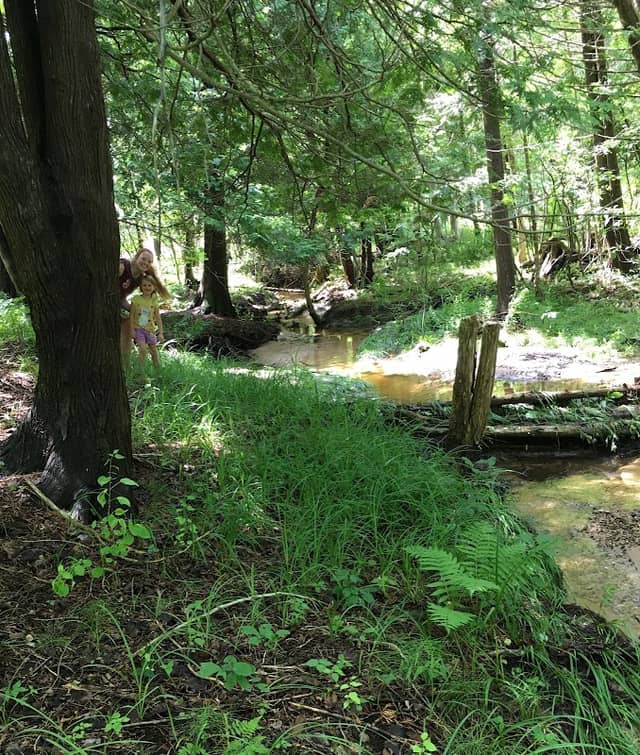 Slough Family Nature Preserve - Image 1