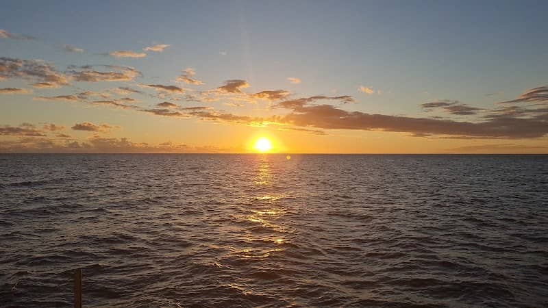 Tamarin jetty - Image 2