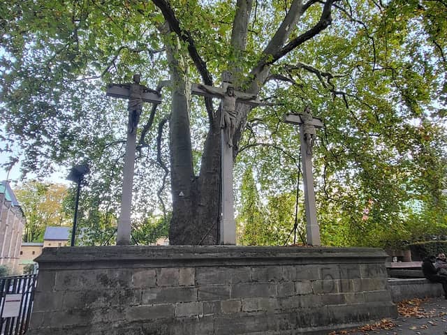 Naturdenkmal Platane - Image 2