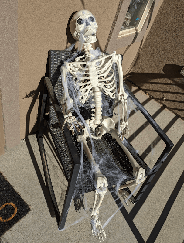 The Skeleton House - Image 1