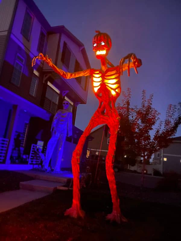 The Skeleton House - Image 2
