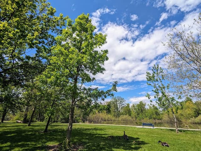Sadler's Pond Nature Park - Image 1