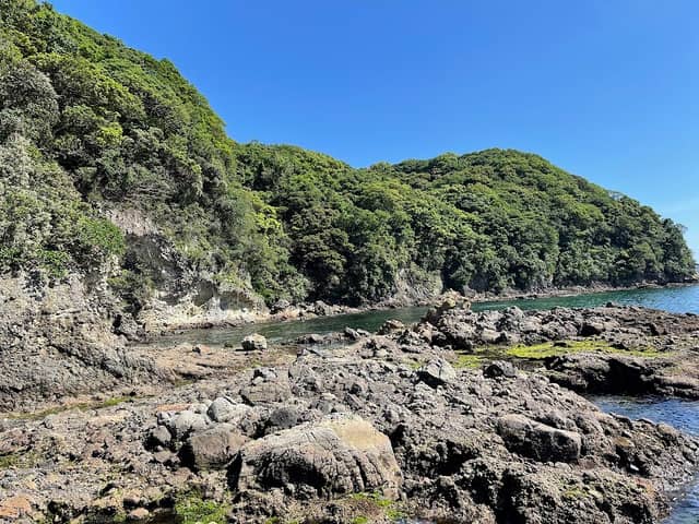 かめの浜 - Image 1