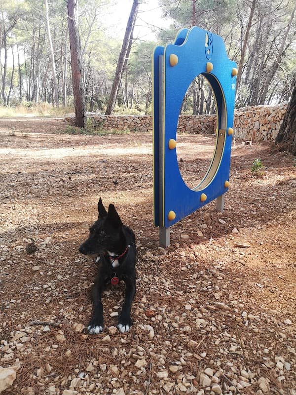 Dog park - Image 1