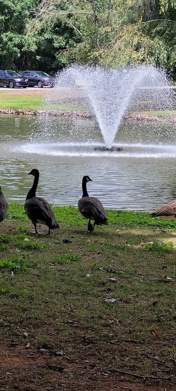 Martin Luther King Jr. Park - Image 2