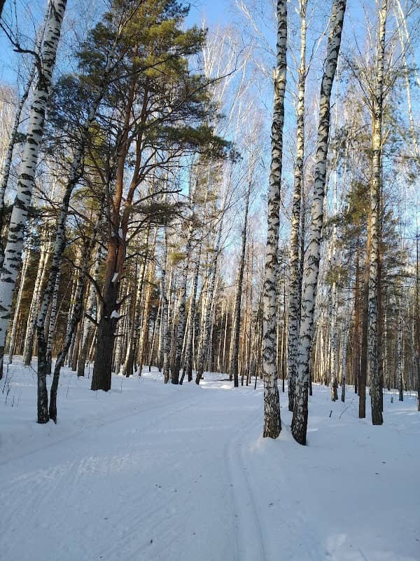 Lesopark Tets-2 - Image 1