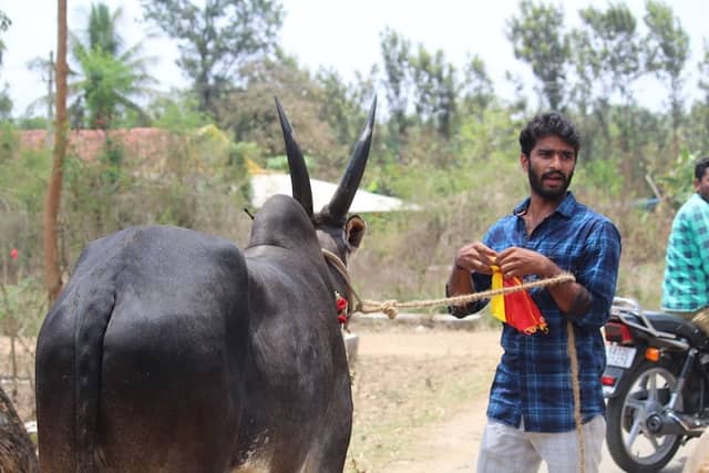Chethan animal park - Image 1