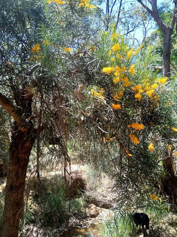 Booralie Way Reserve - Image 2
