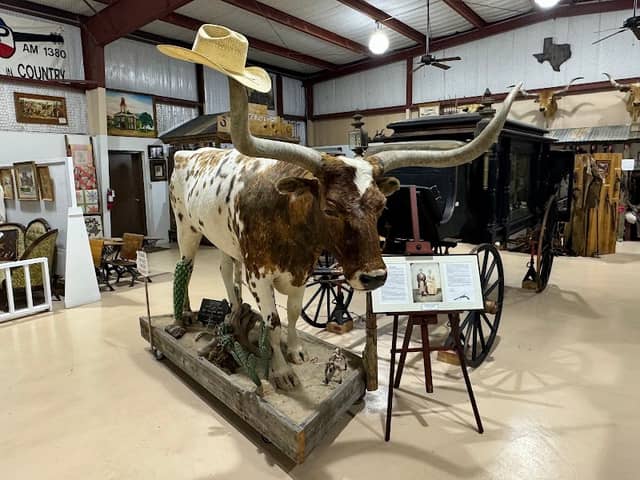 Longhorn Museum - Image 2