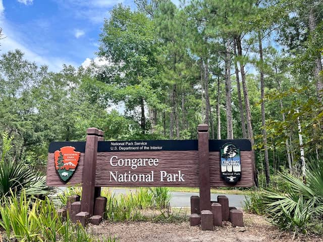Congaree National Park - Image 2