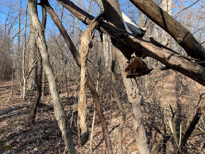 Deer Park Hiking Trails - Image 2