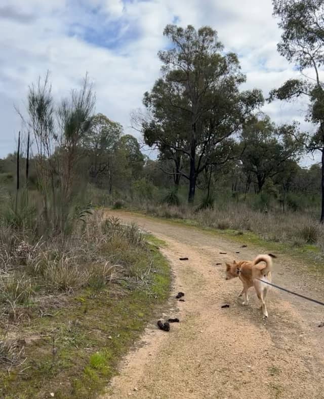 Brickwood Reserve - Image 2