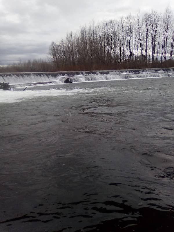 Genesee River Wilds Genesee River Access Park Belfast - Image 2