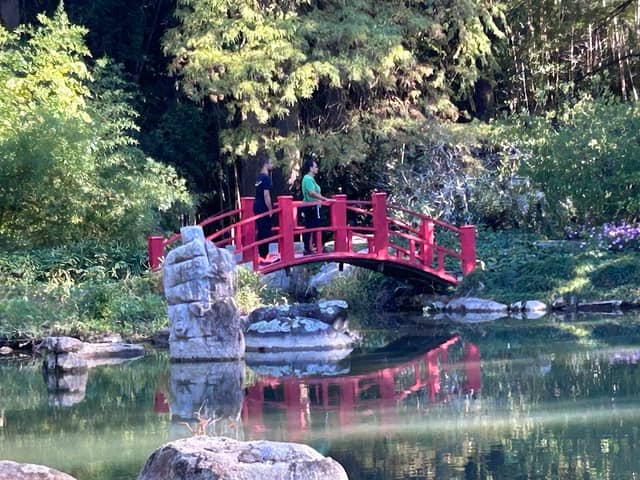 Botanical Place - Image 2