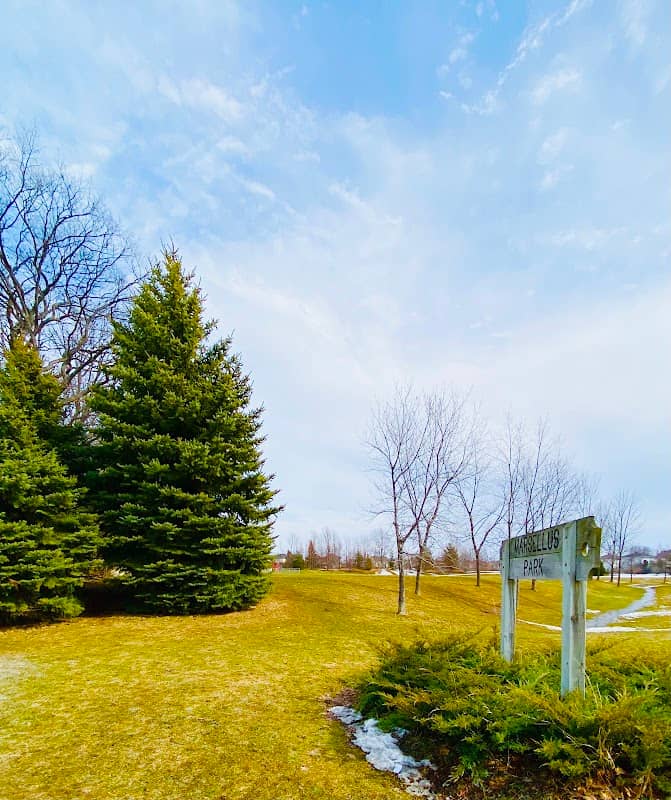 Marsellus Park - Image 2