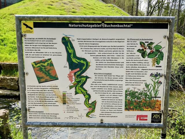 Buchenbachtal - Image 1