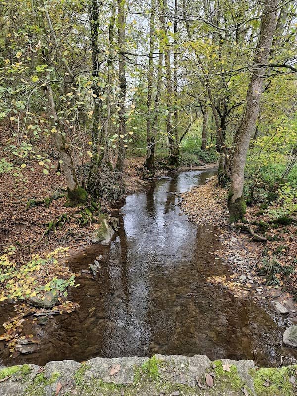 Buchenbachtal - Image 2