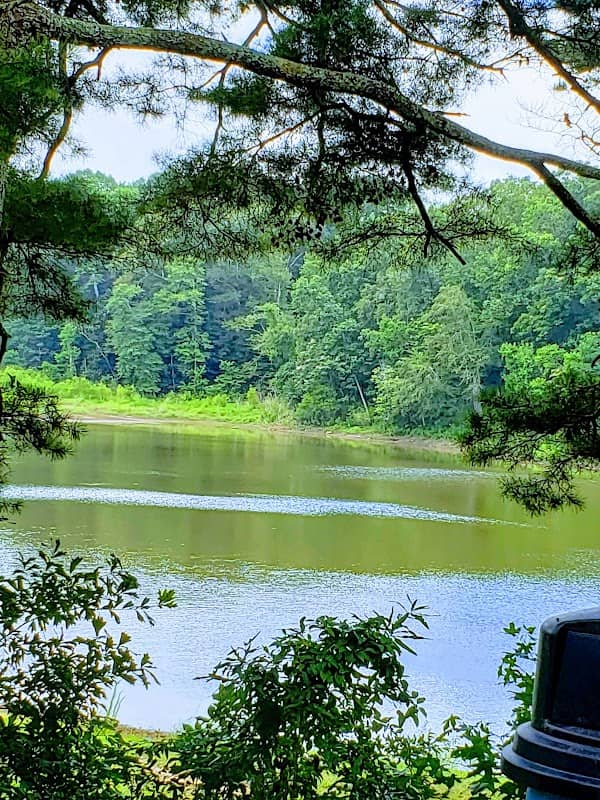 Crystal Springs Parks & Rec - Image 1