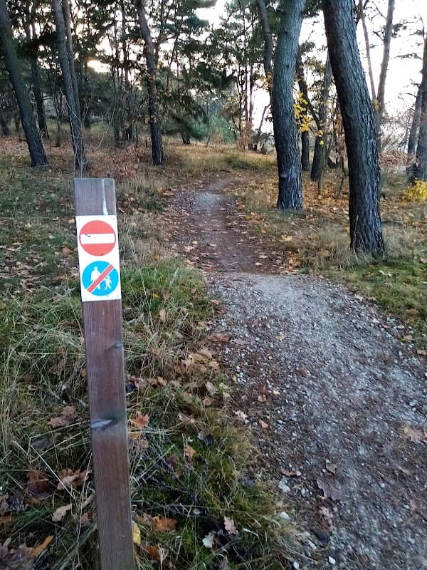 Garbata ścieżka rowerowa - Image 1