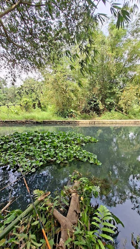 Dam - Image 1