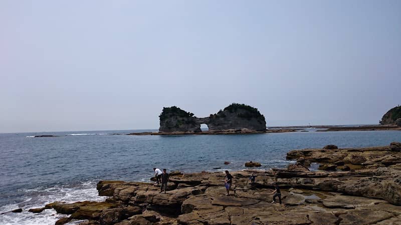 白浜海底観光船(株)営業所 - Image 2