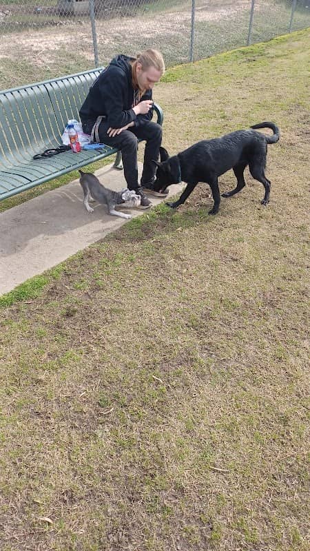 Goodale Dog Park - Image 2