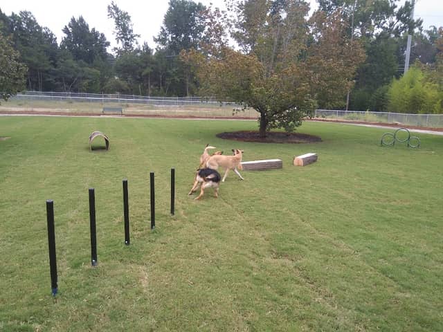 Goodale Dog Park - Image 3