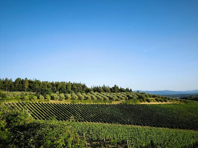 Beautiful View - Image 1