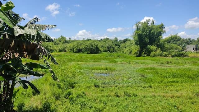 Malimpec fish pond - Image 1