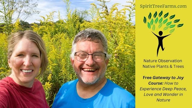 Spirit Tree Farms - Image 1