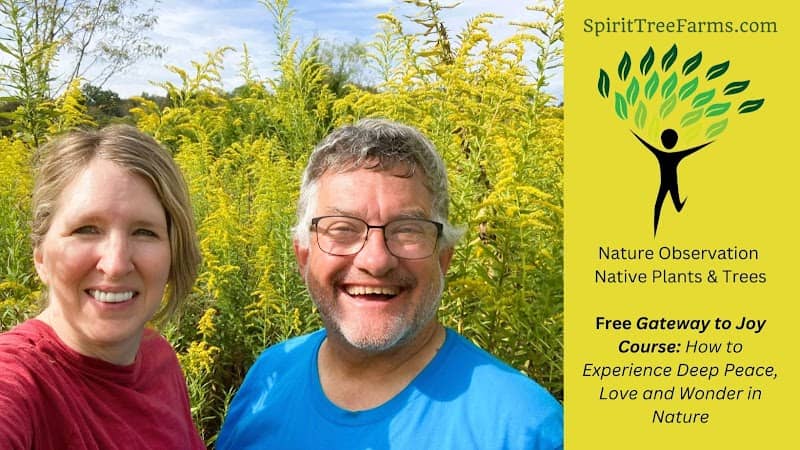 Spirit Tree Farms - Image 1