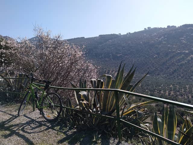 Peña de La Fuente - Image 2