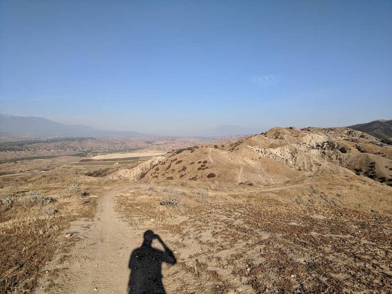 South Hills Preserve - Image 2