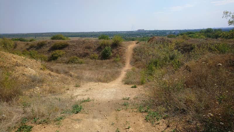 Agroles - Image 1