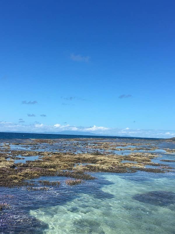 Manta Beach - Image 1