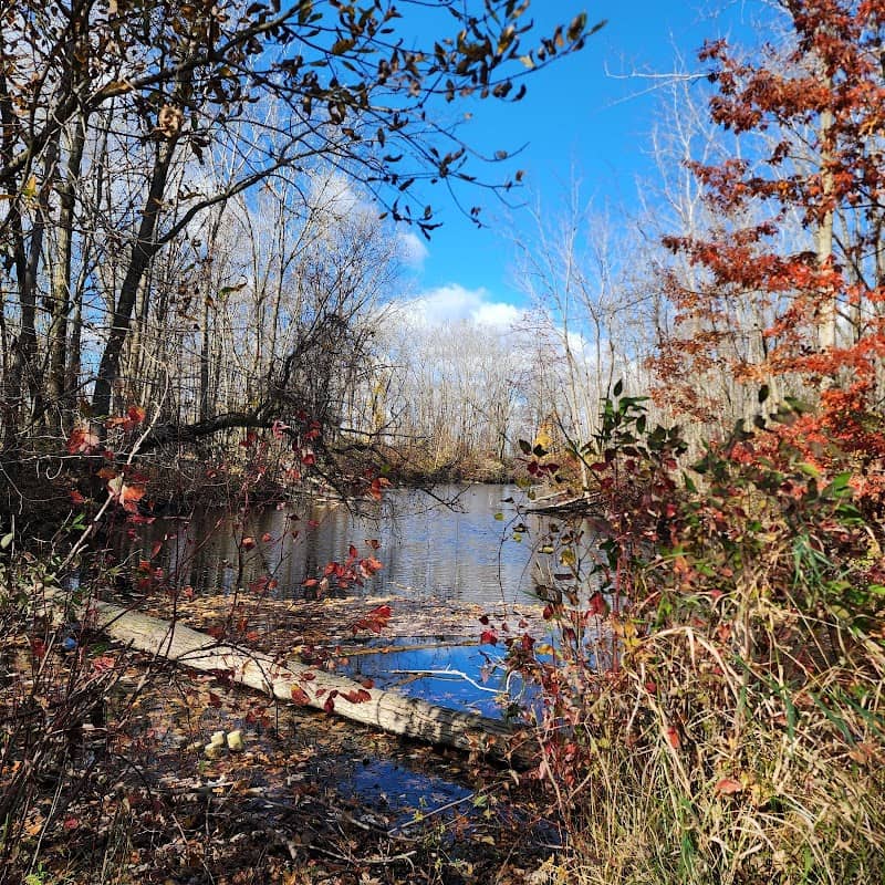 Standish Nature Preserve - Image 2