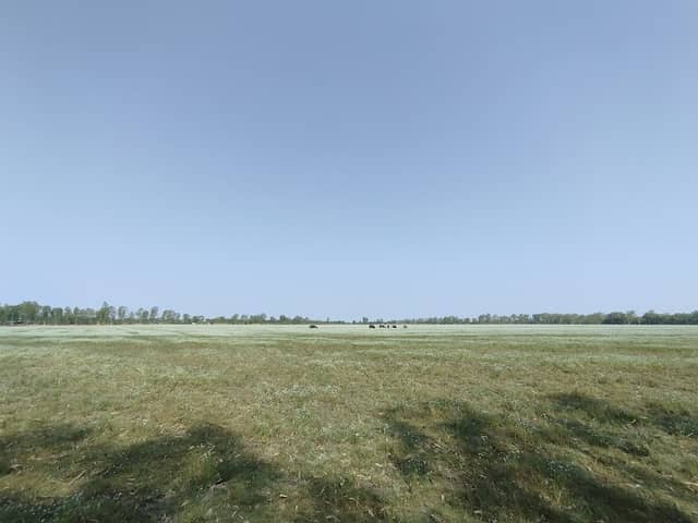 ทุ่งหนองดุม - Image 1
