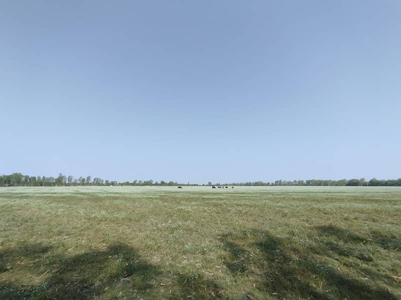 ทุ่งหนองดุม - Image 1