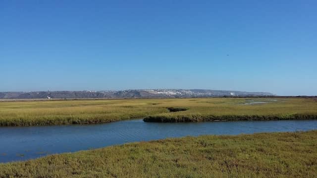 Tijuana Slough National Wildlife Refuge - Image 3