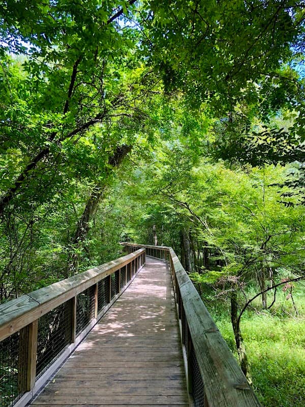Ichetucknee State Park North Entrance - Image 3