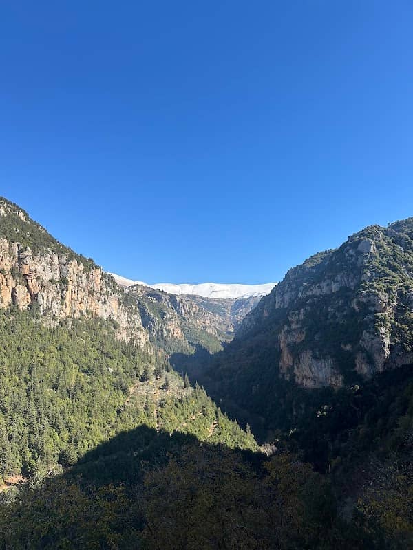 Mountleb Wanderers - Image 1