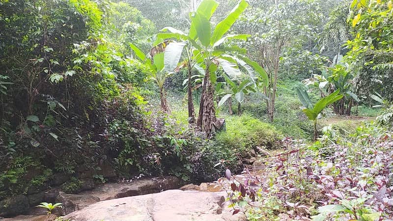 Erappanpaara Waterfalls ഇരപ്പൻപാറ വെള്ളച്ചാട്ടം - Image 2