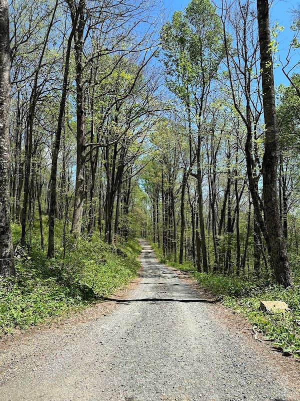 Buffalo Mountain Peak Trailhead Parking - Image 2