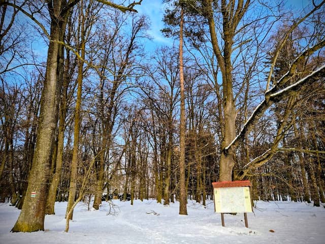Sovovy sady, Pacov - Image 1