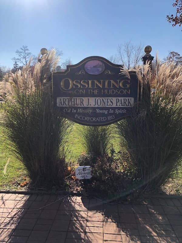 Arthur J. Jones Park - Image 2