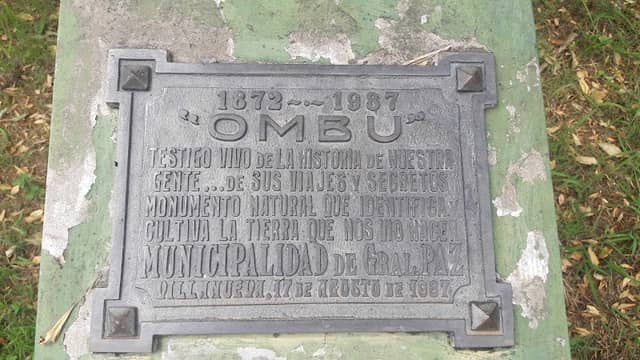 Ombú histórico. - Image 1